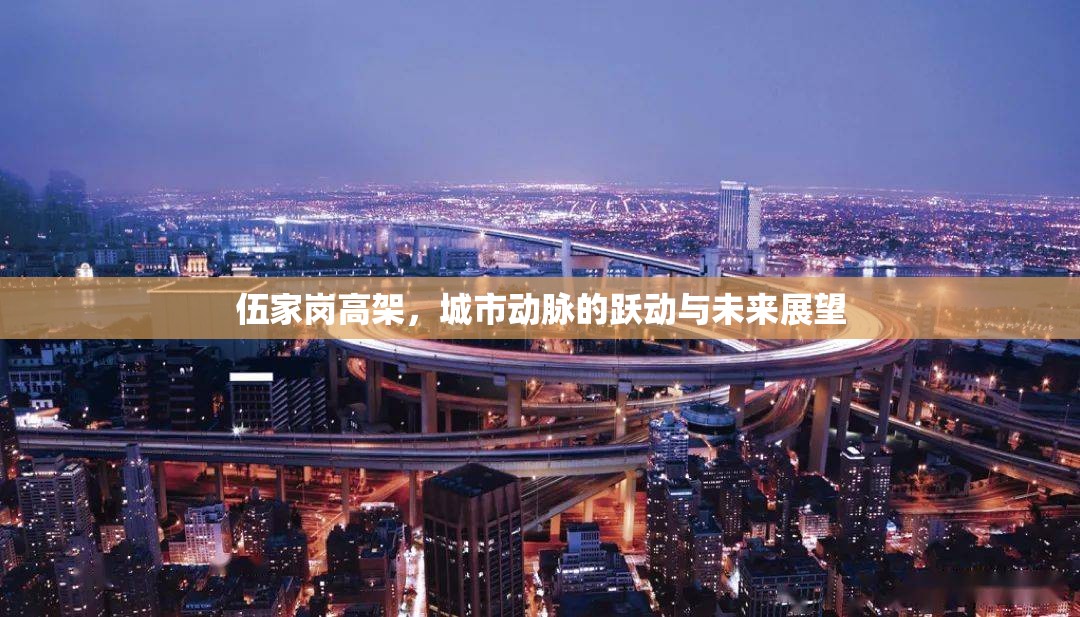 伍家崗高架，城市動(dòng)脈的躍動(dòng)與未來(lái)展望