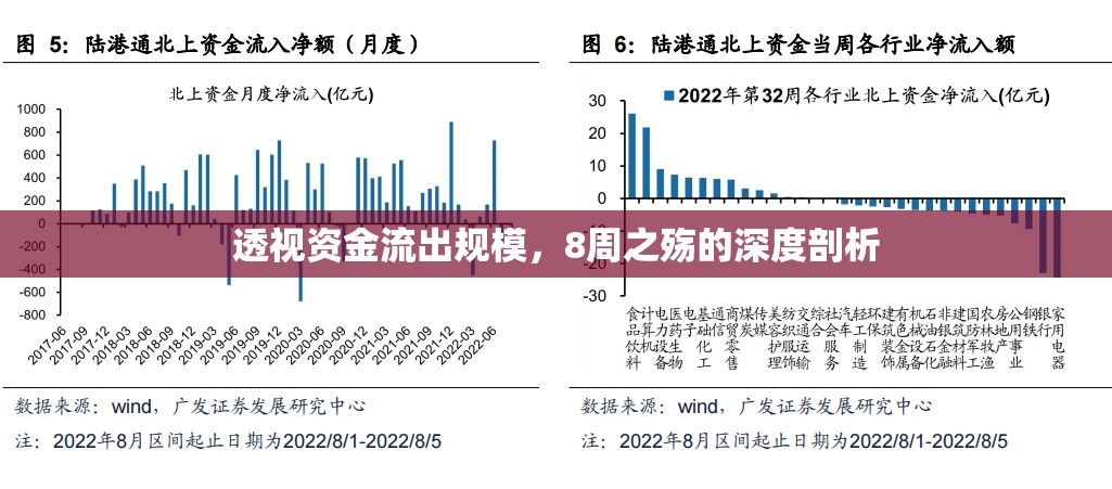 透視資金流出規(guī)模，8周之殤的深度剖析