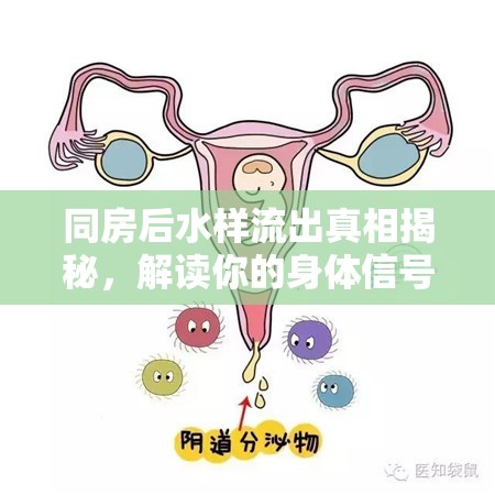 同房后水樣流出真相揭秘，解讀你的身體信號(hào)