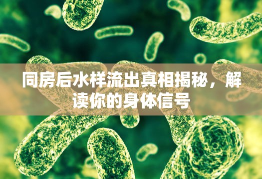 同房后水樣流出真相揭秘，解讀你的身體信號(hào)