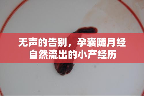 無聲的告別，孕囊隨月經(jīng)自然流出的小產(chǎn)經(jīng)歷