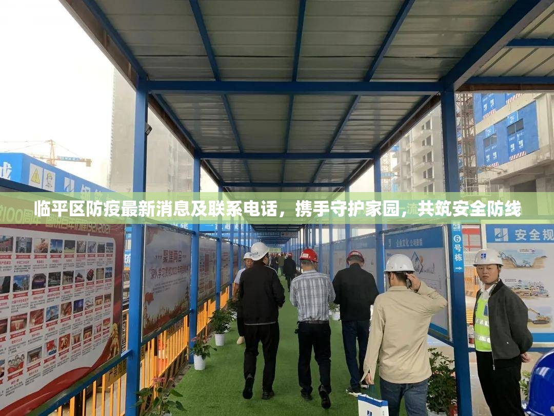 臨平區(qū)防疫最新消息及聯(lián)系電話，攜手守護(hù)家園，共筑安全防線