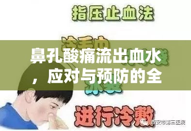 鼻孔酸痛流出血水，應(yīng)對(duì)與預(yù)防的全面指南