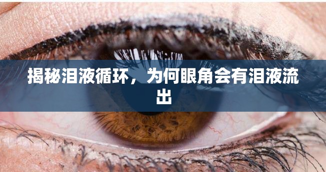 揭秘淚液循環(huán)，為何眼角會(huì)有淚液流出