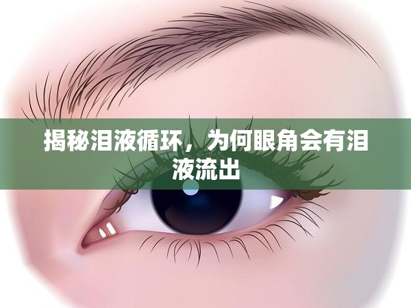 揭秘淚液循環(huán)，為何眼角會(huì)有淚液流出
