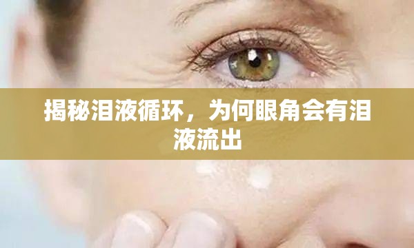 揭秘淚液循環(huán)，為何眼角會(huì)有淚液流出