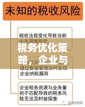 稅務(wù)優(yōu)化策略，企業(yè)與個(gè)人如何有效管理稅務(wù)