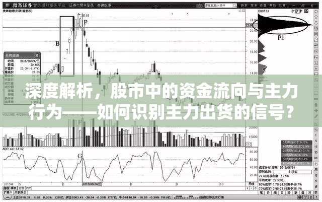 深度解析，股市中的資金流向與主力行為——如何識(shí)別主力出貨的信號(hào)？