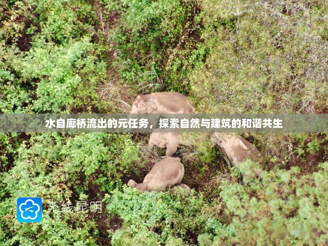 水自廊橋流出的元任務(wù)，探索自然與建筑的和諧共生