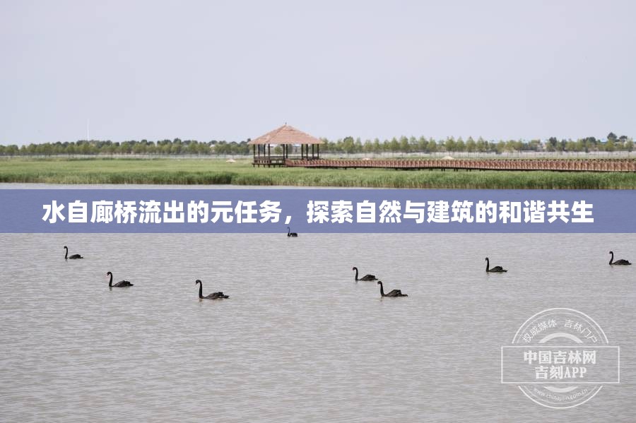 水自廊橋流出的元任務(wù)，探索自然與建筑的和諧共生