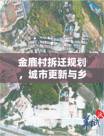 金鹿村拆遷規(guī)劃，城市更新與鄉(xiāng)村振興的交響曲