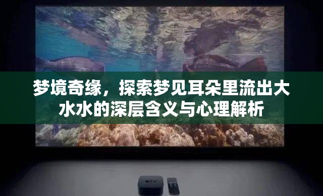 夢(mèng)境奇緣，探索夢(mèng)見耳朵里流出大水水的深層含義與心理解析