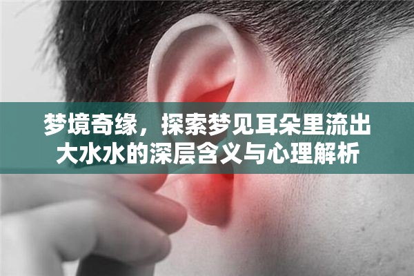 夢(mèng)境奇緣，探索夢(mèng)見耳朵里流出大水水的深層含義與心理解析