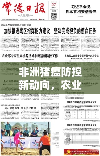 非洲豬瘟防控新動向，農(nóng)業(yè)部最新消息解讀與未來展望