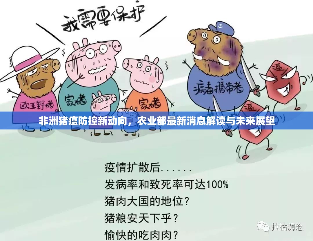 非洲豬瘟防控新動向，農(nóng)業(yè)部最新消息解讀與未來展望