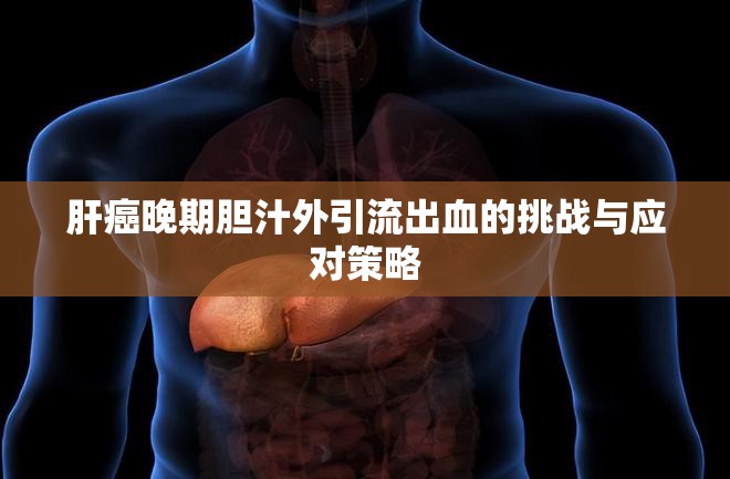 肝癌晚期膽汁外引流出血的挑戰(zhàn)與應(yīng)對(duì)策略