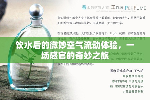 飲水后的微妙空氣流動(dòng)體驗(yàn)，一場(chǎng)感官的奇妙之旅
