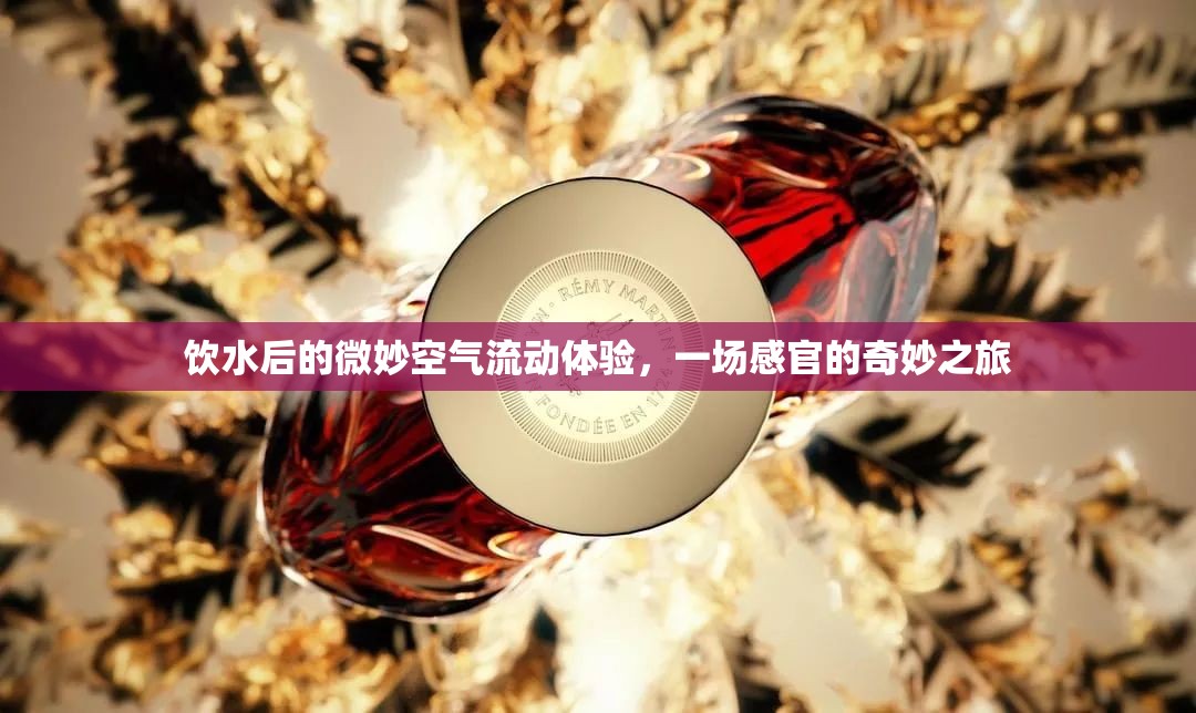 飲水后的微妙空氣流動(dòng)體驗(yàn)，一場(chǎng)感官的奇妙之旅