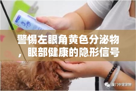 警惕左眼角黃色分泌物，眼部健康的隱形信號