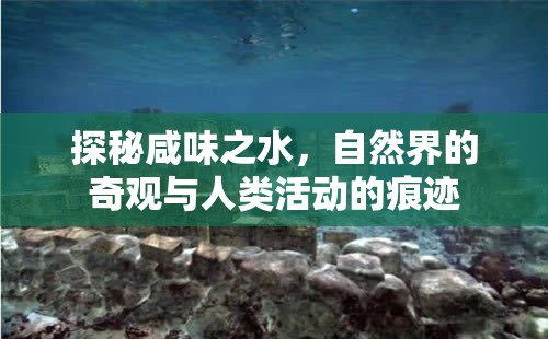 探秘咸味之水，自然界的奇觀與人類活動的痕跡