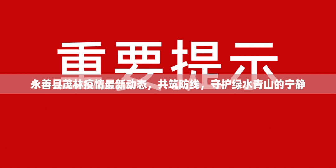 永善縣茂林疫情最新動態(tài)，共筑防線，守護綠水青山的寧靜
