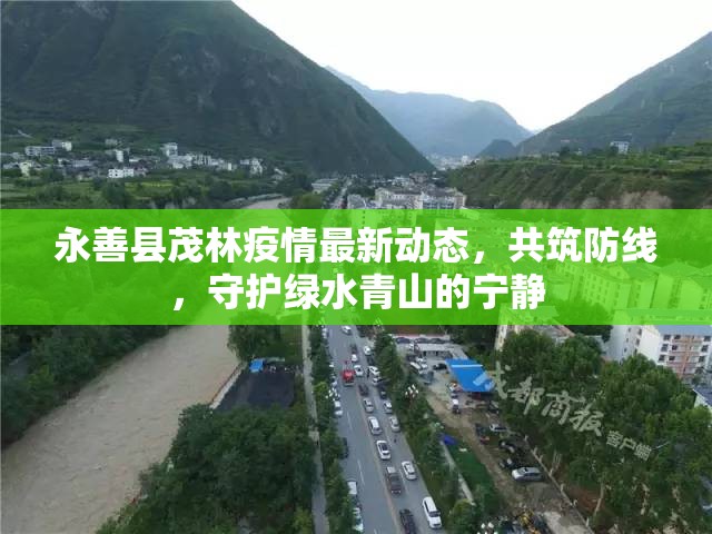 永善縣茂林疫情最新動態(tài)，共筑防線，守護綠水青山的寧靜