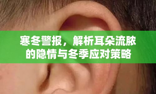 寒冬警報，解析耳朵流膿的隱情與冬季應對策略