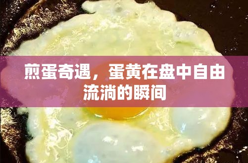 煎蛋奇遇，蛋黃在盤中自由流淌的瞬間