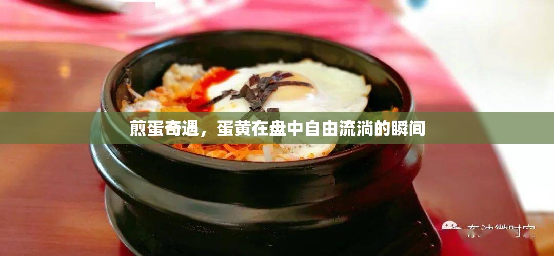 煎蛋奇遇，蛋黃在盤中自由流淌的瞬間