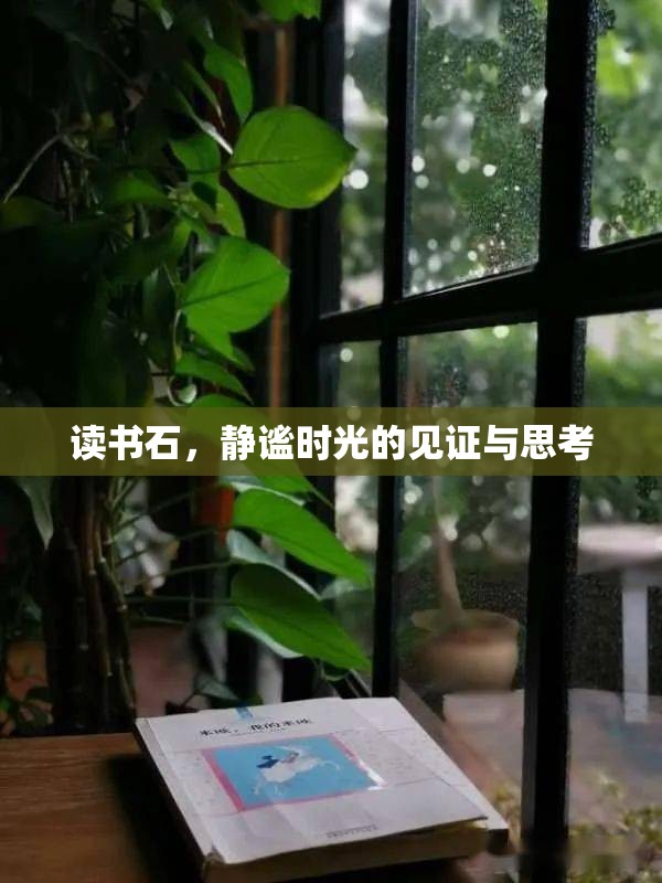 讀書石，靜謐時光的見證與思考