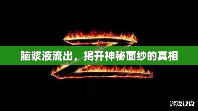 腦漿液流出，揭開神秘面紗的真相