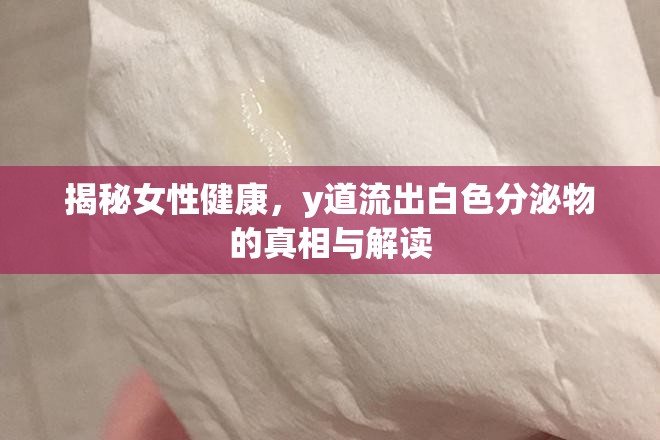 揭秘女性健康，y道流出白色分泌物的真相與解讀