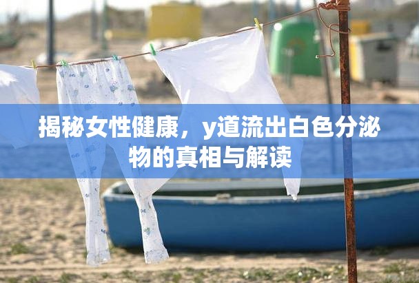 揭秘女性健康，y道流出白色分泌物的真相與解讀