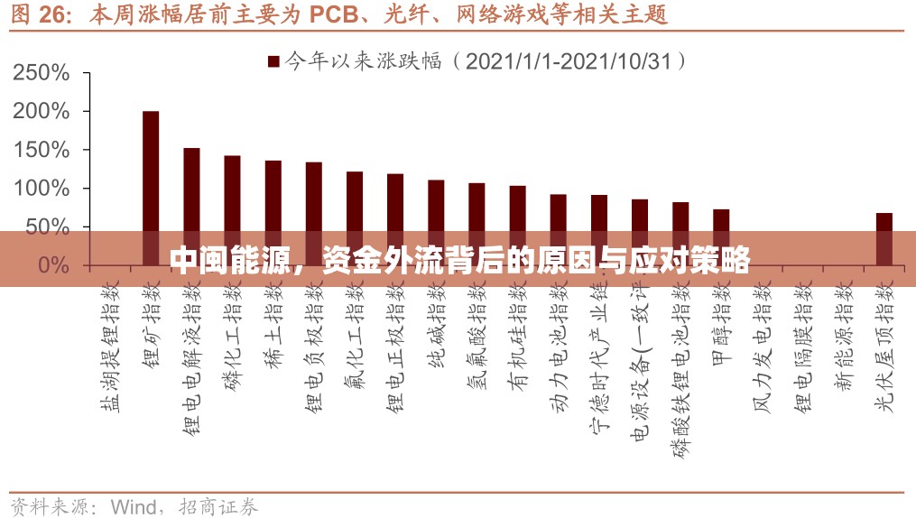 中閩能源，資金外流背后的原因與應(yīng)對(duì)策略