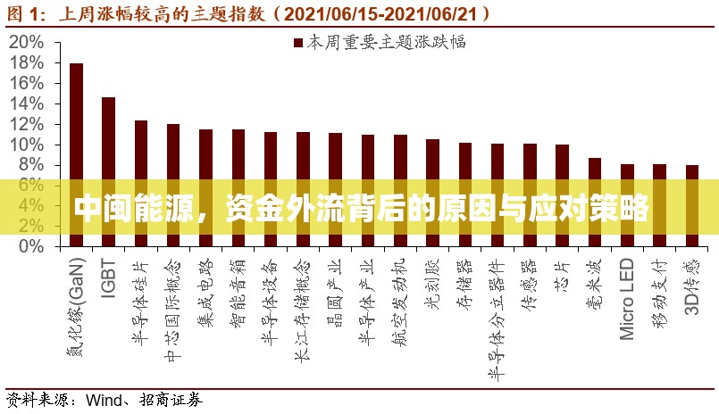 中閩能源，資金外流背后的原因與應(yīng)對(duì)策略