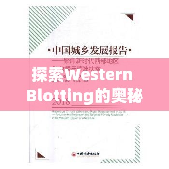 探索Western Blotting的奧秘，揭秘精準(zhǔn)曝光的藝術(shù)