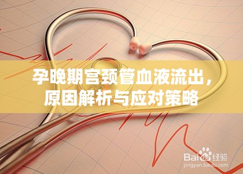 孕晚期宮頸管血液流出，原因解析與應(yīng)對(duì)策略