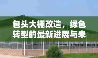 包頭大棚改造，綠色轉(zhuǎn)型的最新進展與未來展望