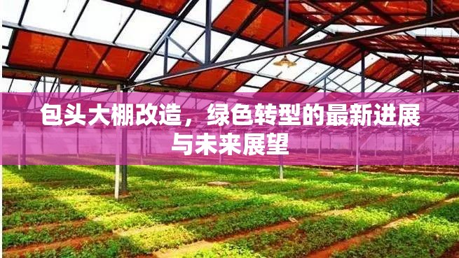 包頭大棚改造，綠色轉(zhuǎn)型的最新進展與未來展望