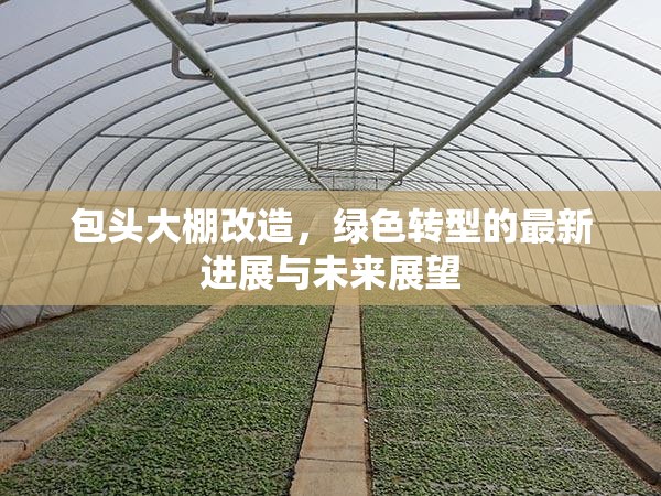 包頭大棚改造，綠色轉(zhuǎn)型的最新進展與未來展望