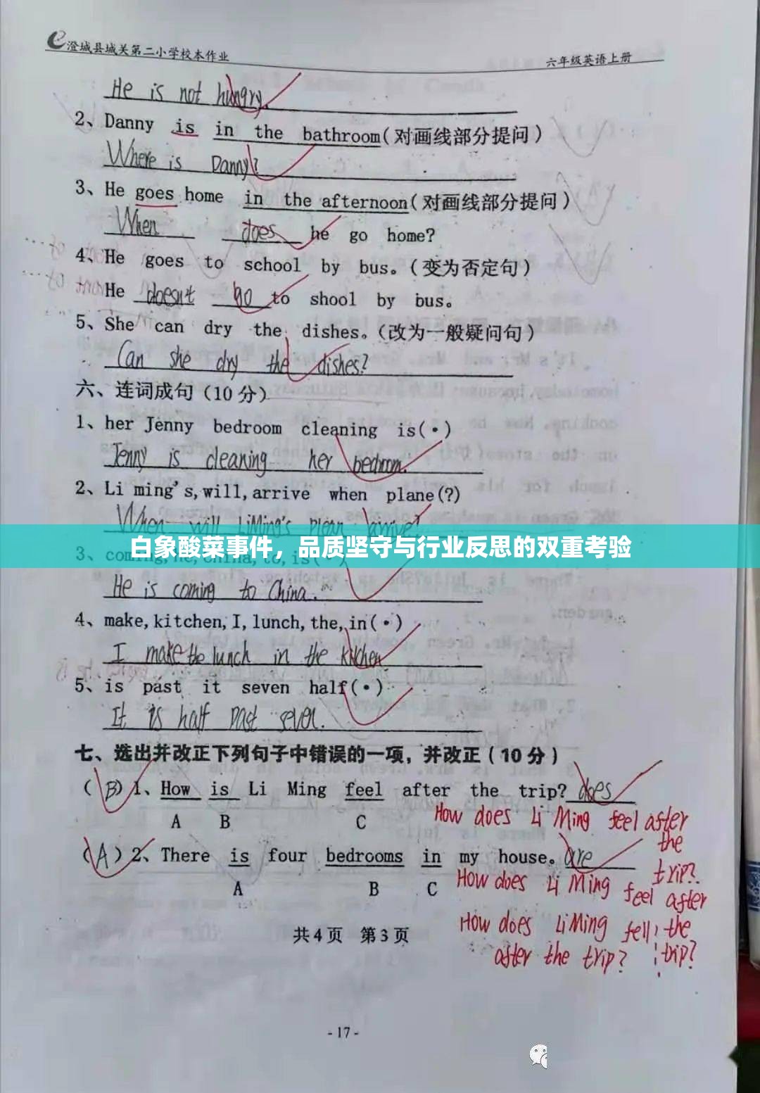 白象酸菜事件，品質(zhì)堅守與行業(yè)反思的雙重考驗