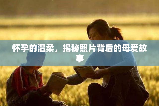 懷孕的溫柔，揭秘照片背后的母愛(ài)故事