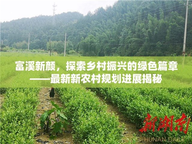 富溪新顏，探索鄉(xiāng)村振興的綠色篇章——最新新農(nóng)村規(guī)劃進展揭秘