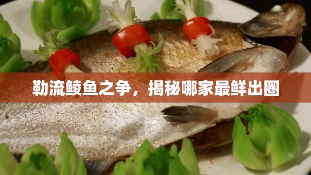 勒流鯪魚之爭，揭秘哪家最鮮出圈