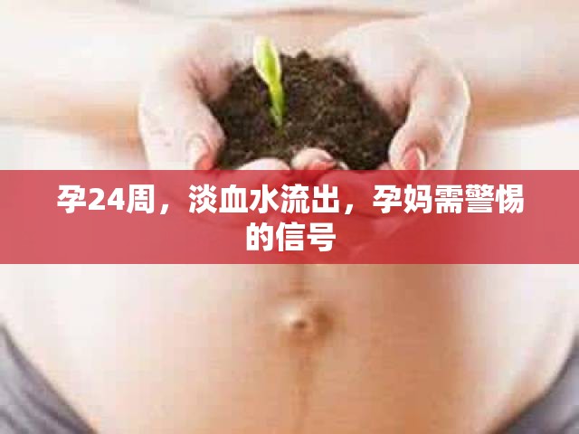 孕24周，淡血水流出，孕媽需警惕的信號