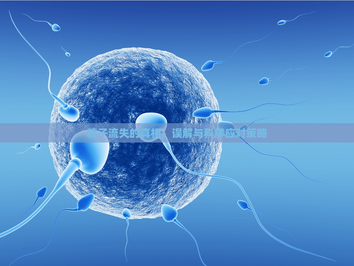 精子流失的真相，誤解與科學(xué)應(yīng)對策略