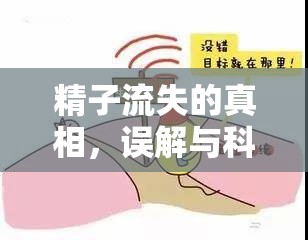 精子流失的真相，誤解與科學(xué)應(yīng)對策略