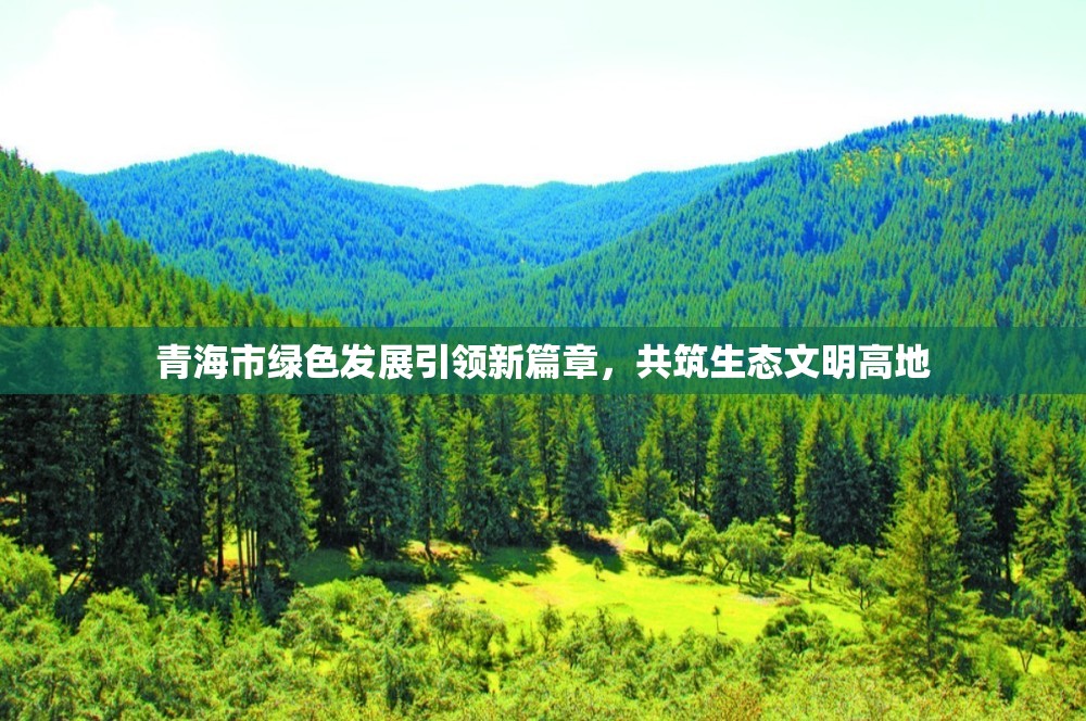 青海市綠色發(fā)展引領(lǐng)新篇章，共筑生態(tài)文明高地