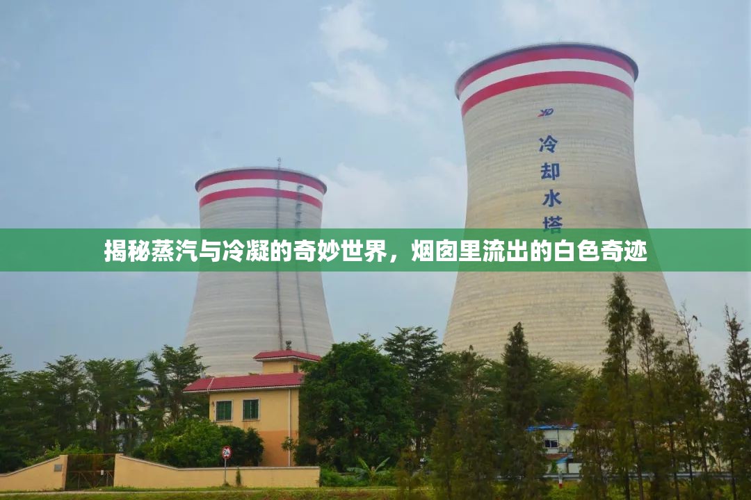 揭秘蒸汽與冷凝的奇妙世界，煙囪里流出的白色奇跡