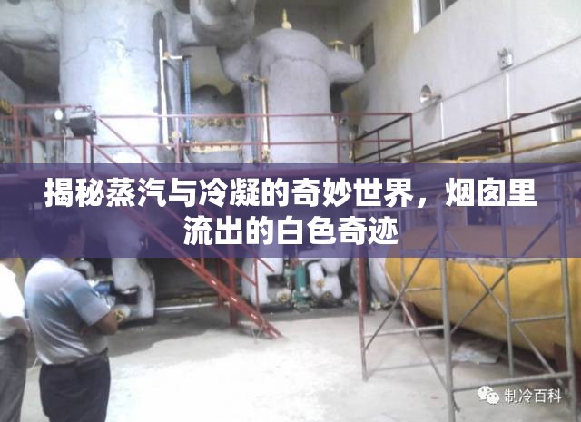 揭秘蒸汽與冷凝的奇妙世界，煙囪里流出的白色奇跡